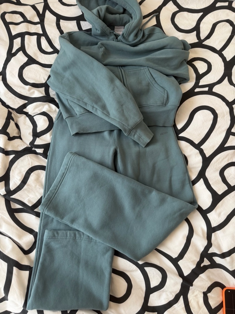 Aritzia Straight-Leg Track Pants in Teal